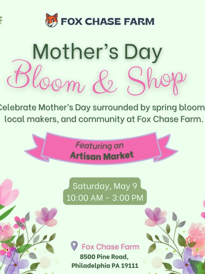 Green Simple Hello Spring Poster