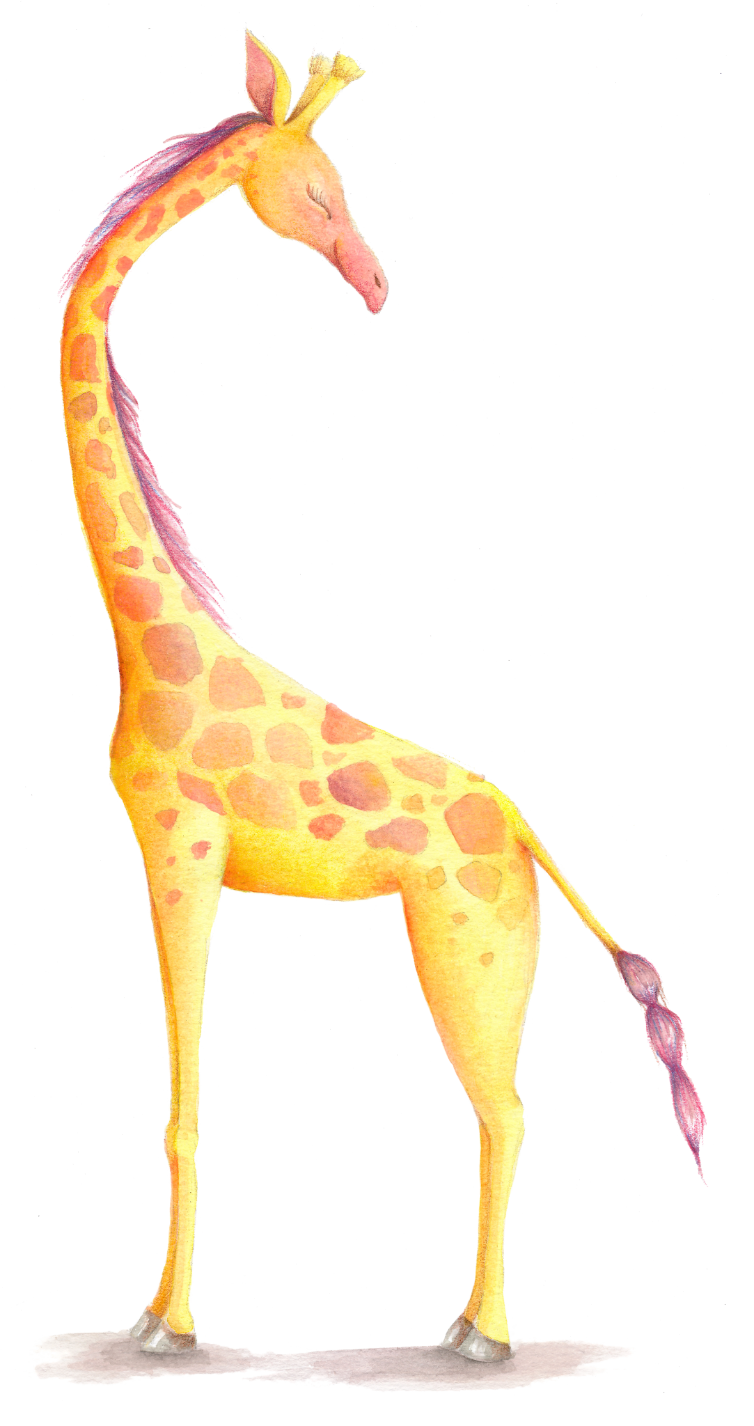 Giraffewshadow
