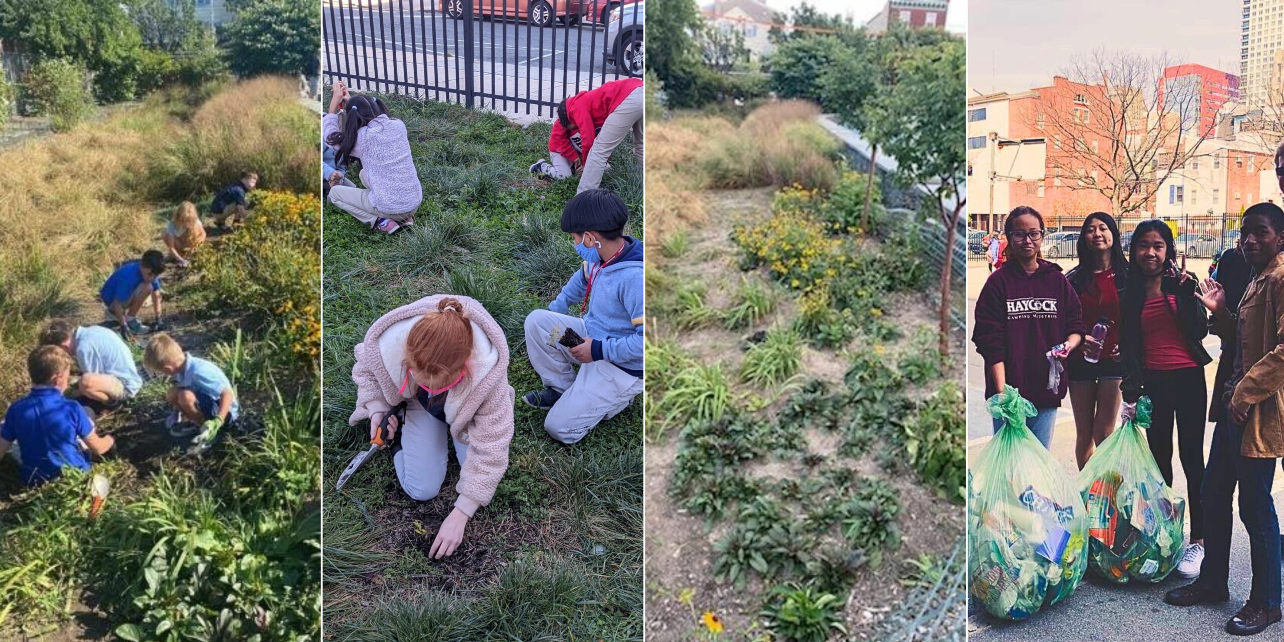 4 images of school greenscapes