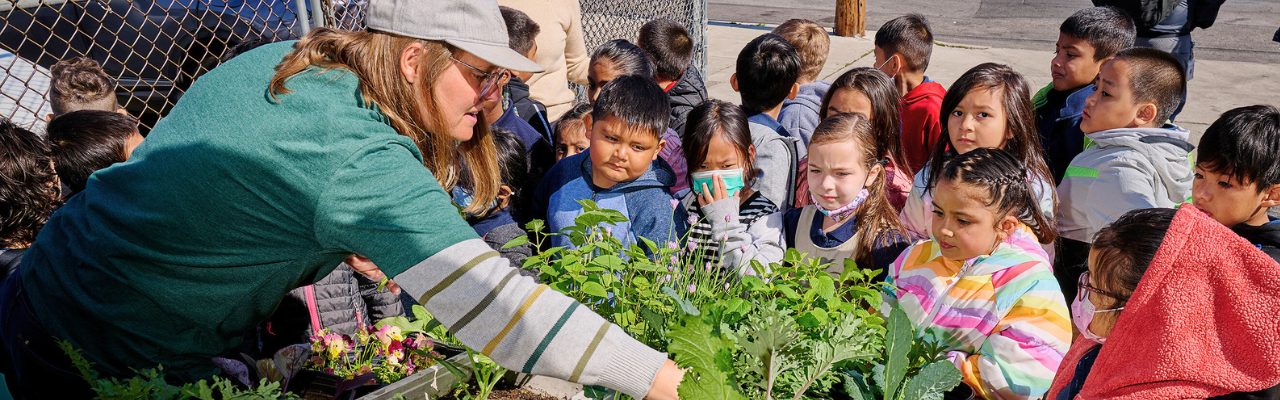 Teaching students to garden