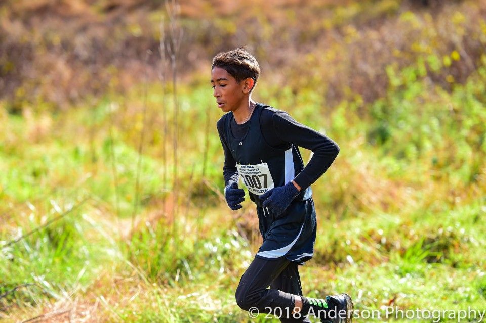 E&S Cross Country States Recap [Photos] – Carver Engineering and Science