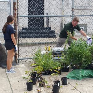 Villanova Day of Service