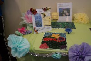 Jr. Flower Show Exhibit