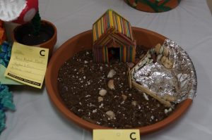 Jr. Flower Show Exhibit