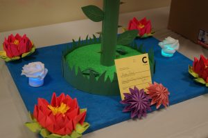 Jr. Flower Show Exhibit