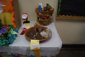 Jr. Flower Show Exhibit