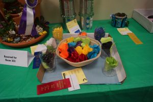 Jr. Flower Show Exhibit