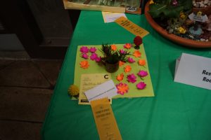 Jr. Flower Show Exhibit