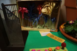 Jr. Flower Show Exhibit