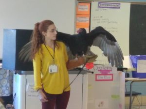 Schuylkill Center with turkey vulture in Academies @ Roxborough classroom