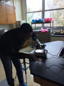 Biotech student working in the lab at Roxborough