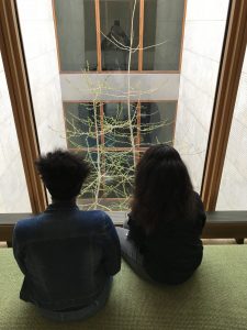 10th grade English students at Roxborough toured the Barnes Foundation