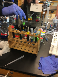 Rainbow test tubes from Biotech and Kinesiology students working together in the lab