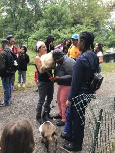 Students At Philly Goat Project in Germantown