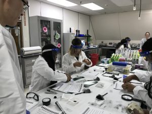 Forensic Mentoring Institute (Biotechnology )