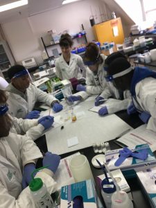 Forensic Mentoring Institute (Biotechnology )