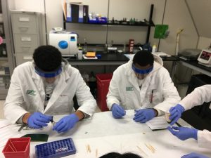 Forensic Mentoring Institute (Biotechnology )