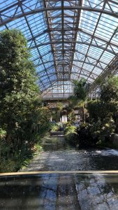 Greenhouse @ Longwood Gardens