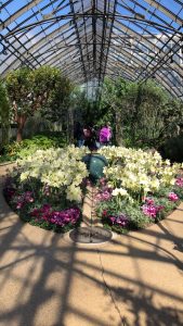 Green house @ Longwood Gardens