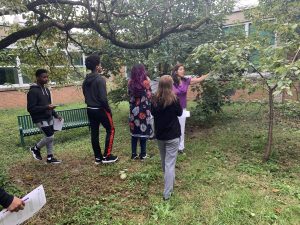 Environmental science students studing biodiversity in the courtyard