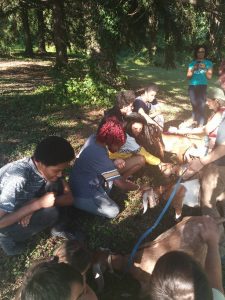 Academies @ Roxborough students at the Philly Goat Project