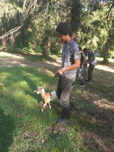 Academies @ Roxborough students at the Philly Goat Project