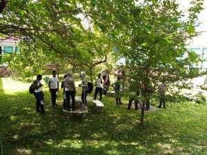 Environmental science students studying biodiversity in the courtyard