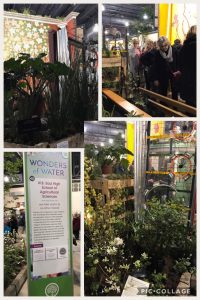 several pictures from the flower show exhibit