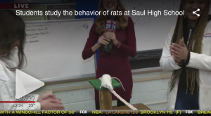screenshot from newscast about rat training at Saul