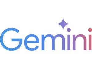 Gemini-icon-300x225.jpg