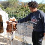 New Livestock Center