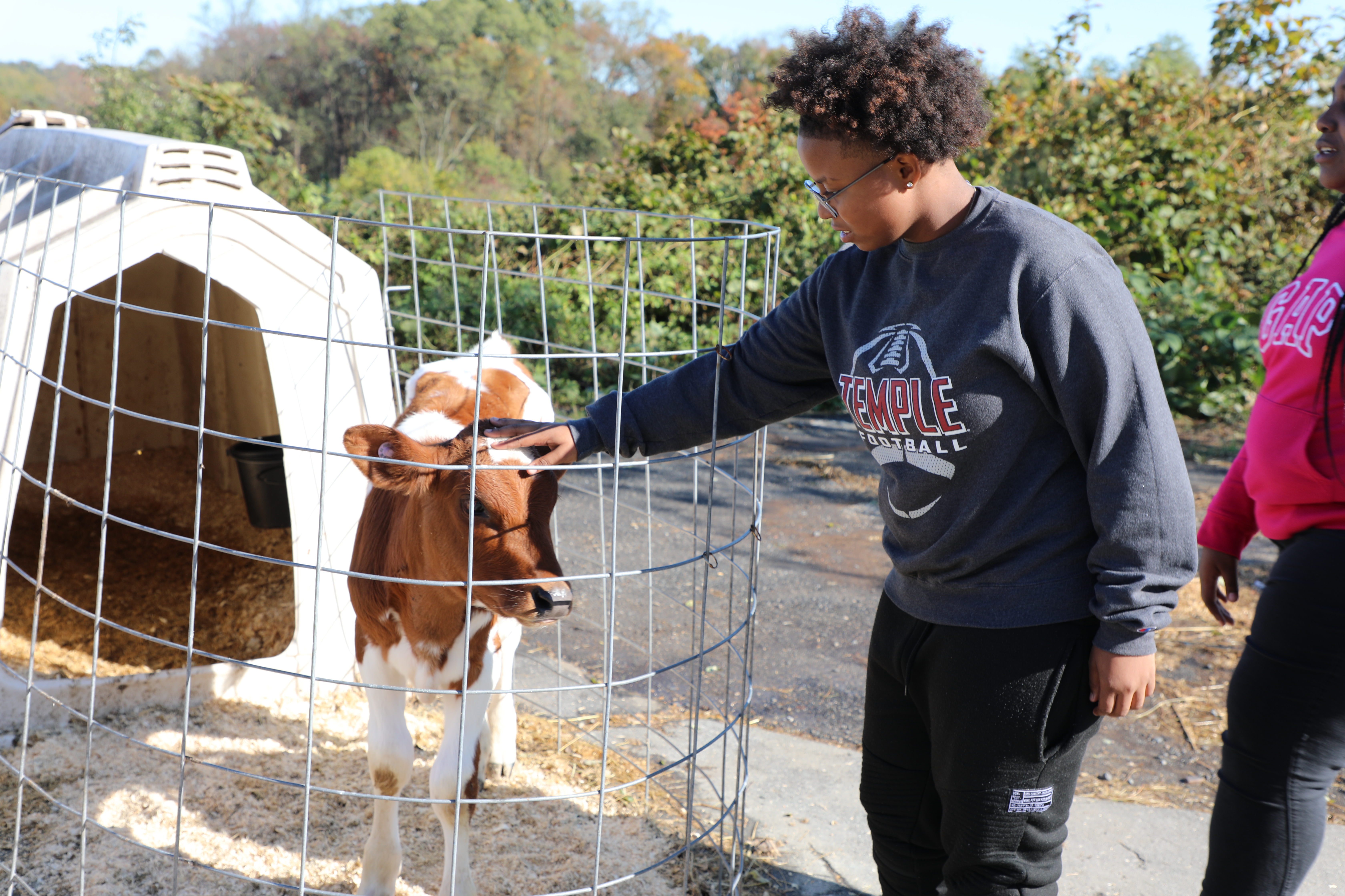 New Livestock Center