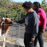 New Livestock Center