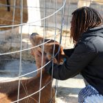 New Livestock Center