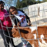 New Livestock Center