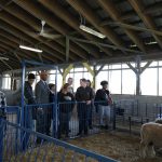 New Livestock Center